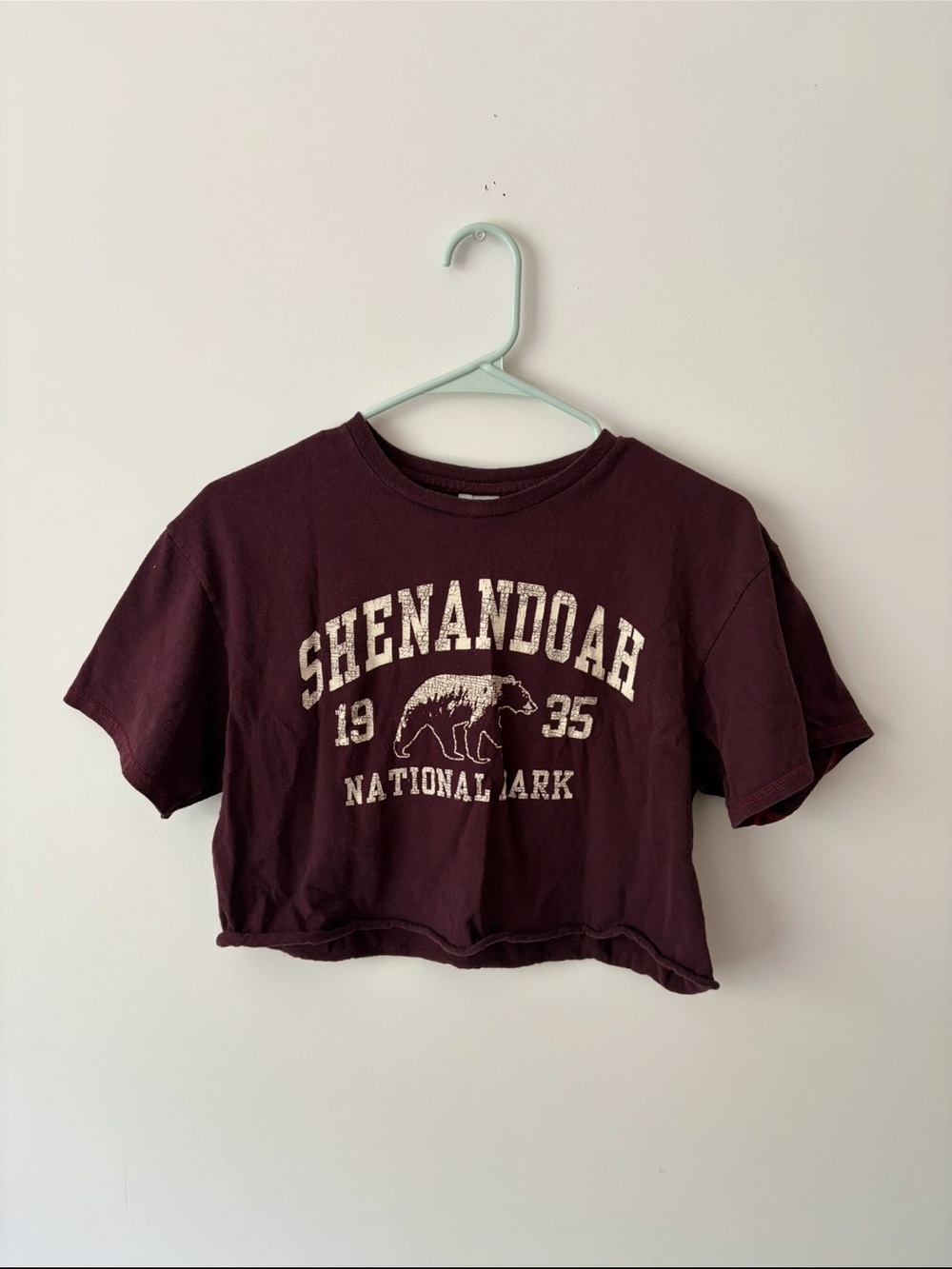 Shenandoah National Park Crop Tee - Burgundy Maroon Red NPS Bear Mountain Travel